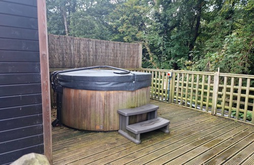 Llanfair Caereinion Cabin | Glamping Hut - Riverside 1