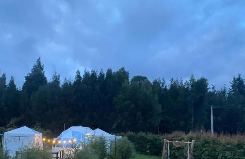 Sotaquira Other | Glamping Irlanda