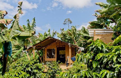 Jardin Other | Glamping Jardín