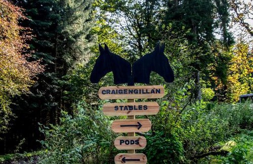 Kirkmichael Ski Chalet | Glamping Pod 2 Magical Craigengillan Estate