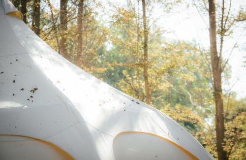 Isla de Maipo Other | Glamping Remanso del Espíritu