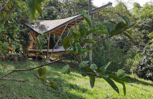 Totoro Other | Glamping Reserva Natural Amalaka