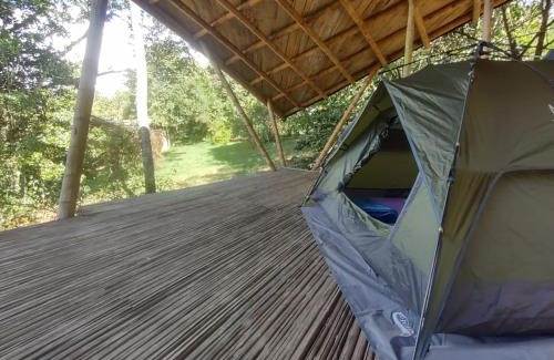 Totoro Other | Glamping Reserva Natural Amalaka