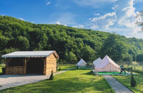 Tarlungeni Other | Glamping Spiritul Pădurii