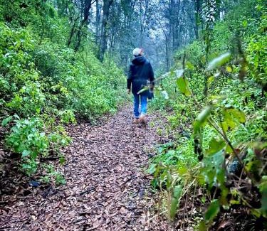 Nanacamilpa Other | Glamping Vive Tlaxcala - Santuario de las luciérnagas