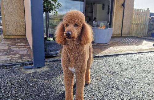 Annalong Apartment | Gleann Ciuin