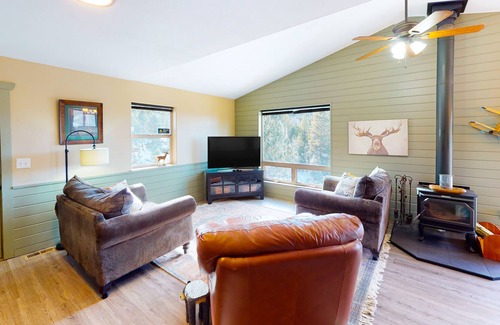Cripple Creek House | Glistening dog-friendly mountain view home with balcony, fireplace, & kitchen