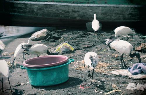 Mfangano Island House | Globegivers homestay