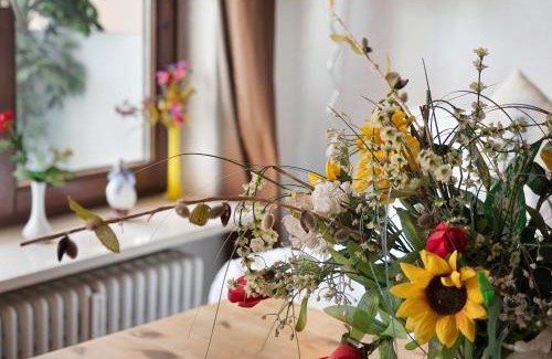Allensbach Apartment | Gnadenseeblick