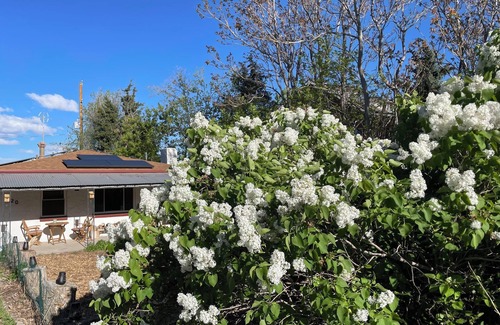 Sheridan House | Goat Hill Orchard - Family & Pet Friendly ; Level 2 EV Charging Outlet BYOCC
