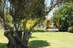 St. Helena Bay House | Goblin's Creek