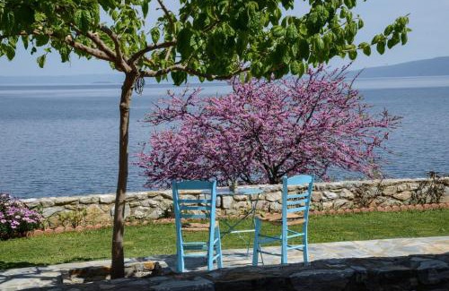 Sourpi Apartment | Goddesses Villa 2 in Nies