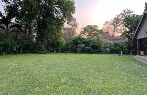 Zimbabwe House | Golden bamboo