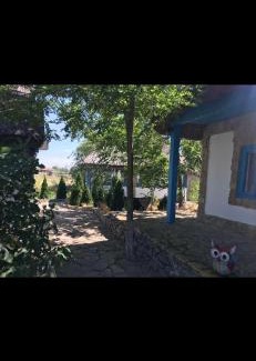 Uzlina House | Golden Fish