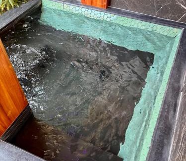 Angeles City House | Golden Gorilla Villa with private pool & jacuzzi