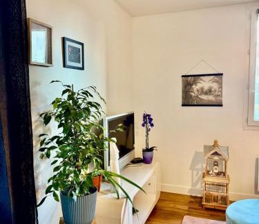Limoges House | Good Luck Rue de Strasbourg - DABNB
