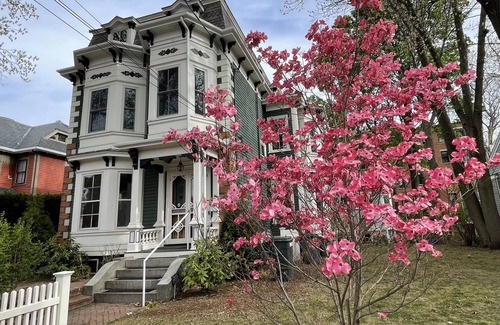 Porter Square House | Gorgeous 4+ br 3.5 ba Harvard mansion: Cambridge Cosmopolitan