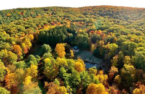 Spring Mills House | Gorgeous Cottage for Two, Overlooking Pond on 20 acres, Glamping in Pennsylvania