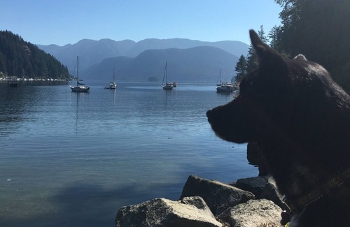 Deep Cove House | Gorgeous Home in the Heart of Deep Cove!