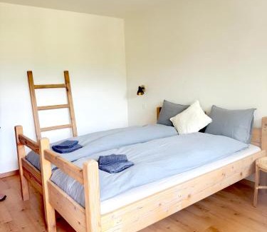 Taesch Apartment | Gorgeous Modern Mountain View Flat in Täsch