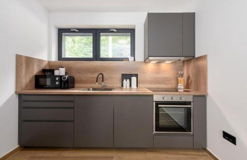Ravna Gora House | Gorska Idila "Smreka" - a Modern House in Quiet Area with Wellness