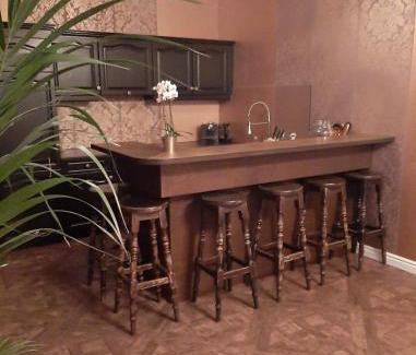 Gouda Apartment | Gouda city center apartment with private garden and 2 bicycles