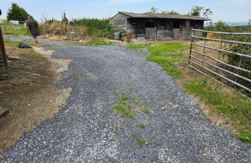 Llanrhidian Higher Apartment | Gower Fresh Christmas Trees