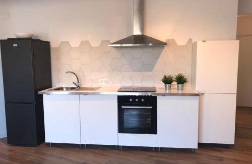 Nou Moles Apartment | Goya atico