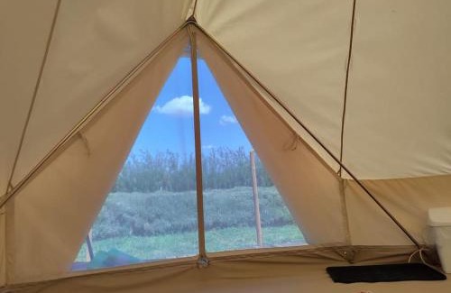 Urlati Other | Grădina Magică a Lavandei Glamping