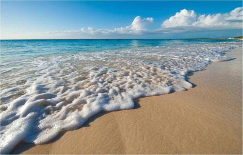 Grace Bay Resort | Grace Bay Club