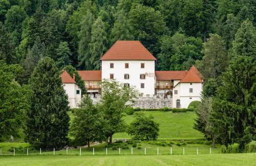 Cerklje na Gorenjskem Villa | Grad Strmol