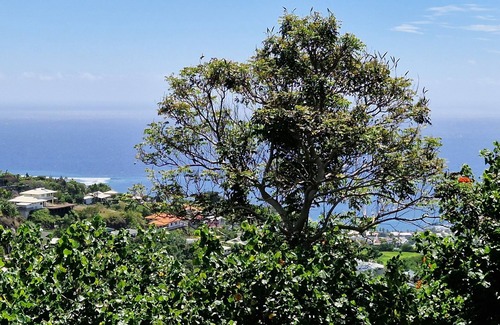 Punaauia Apartment | Grand Appartement Familiale vue mer