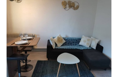 Rives de Meurthe Apartment | Grand Nancy T 2 old renovated
