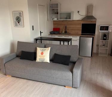 Saint-Ouen-l'Aumone Apartment | Grand studio lumineux proche gare