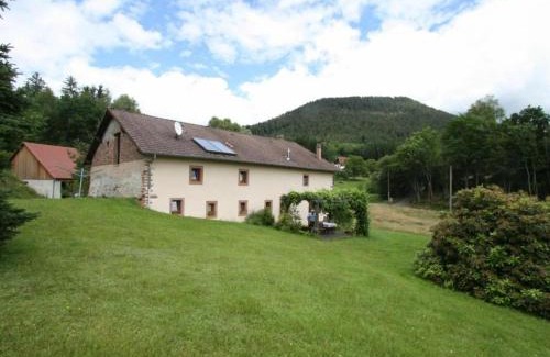 Taintrux House | Grande Ferme Rénovée avec Jardin, Terrasse et Sentiers à Proximité - Vosges - FR-1-589-232