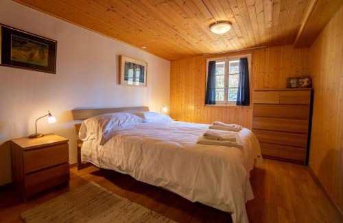 Barboleusaz Ski Chalet | Grande Ourse