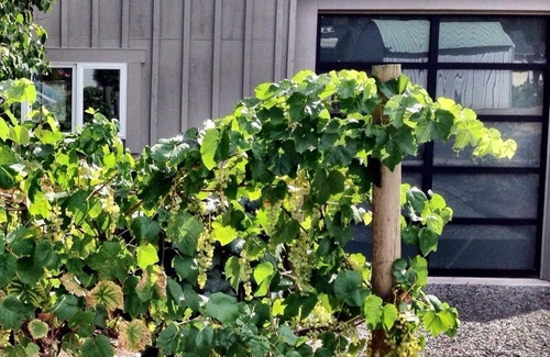 Carlton House | Grant Street - A Carlton Wine Country Home