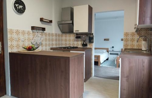 Tolmin Apartment | Gravitacija West