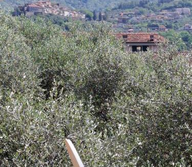 Albiano Magra Apartment | Grazioso monolocale