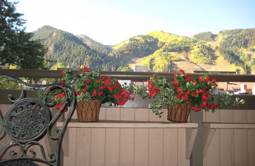 Aspen Condo | Great Aspen location! Mountain VIEWS! Free SKI shuttle. Fireplace, Hot Tub.