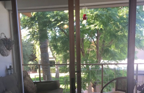 South Scottsdale Condo | Great Location for Spring Training and Sightseeing (long term only)