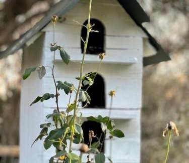 Ritchie Apartment | Green Acres Farm Cottage