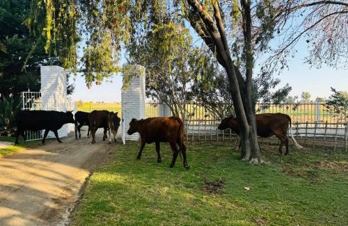 Ritchie Apartment | Green Acres Farm Cottage