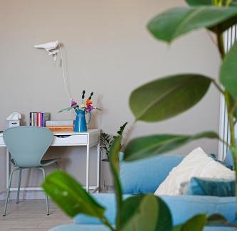 Zona Zara Apartment | Green apartment in Milan 10min from CentralStation