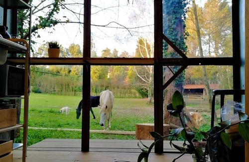 Valongo House | Green Box - be in Nature w/Train to Porto