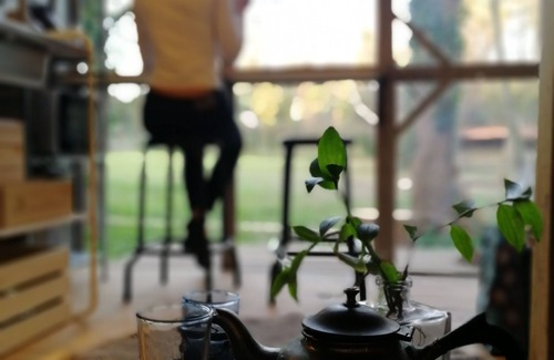 Valongo House | Green Box - be in Nature w/Train to Porto