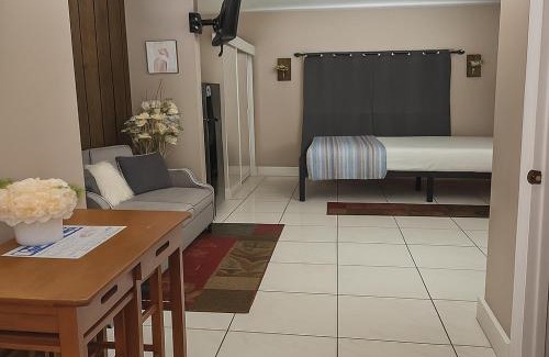 Town N County Park Apartment | Green Castle Apartment in Tampa Near Airport and Busch Gardens