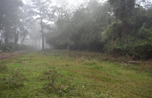Sulthan Bathery Hotel | Green Heaven Kuruva Wayanad