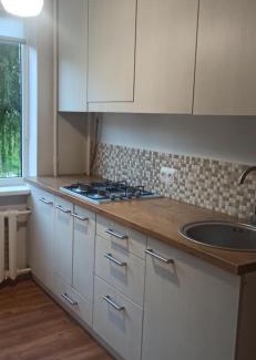 Vilnius Apartment | Green new Vilnius Apartment