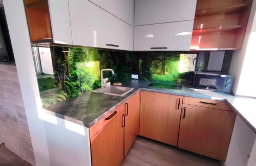 Rezekne Apartment | Green Orchid appartment